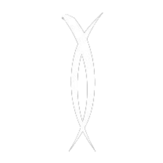 Metanoya